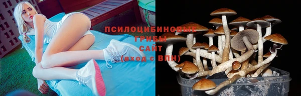 прущий лед Белоозёрский