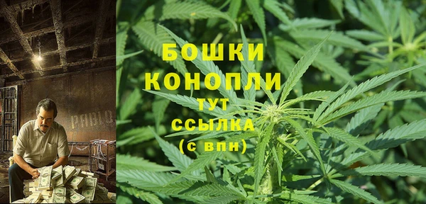 гидропоника Белокуриха