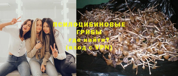 каннабис Беломорск