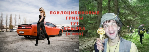 гидропоника Белокуриха