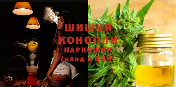 СК Богородицк
