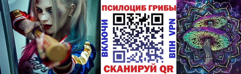 Галлюциногенные грибы Cubensis  продажа наркотиков  Гремячинск 